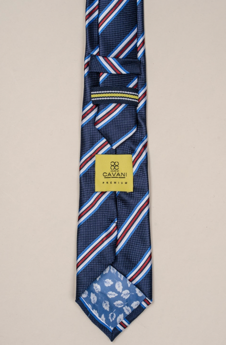 Cavani Stripe Tie Set -Navy - jjdonnelly